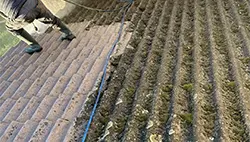 entreprise démoussage nettoyage toiture vichy allier 03