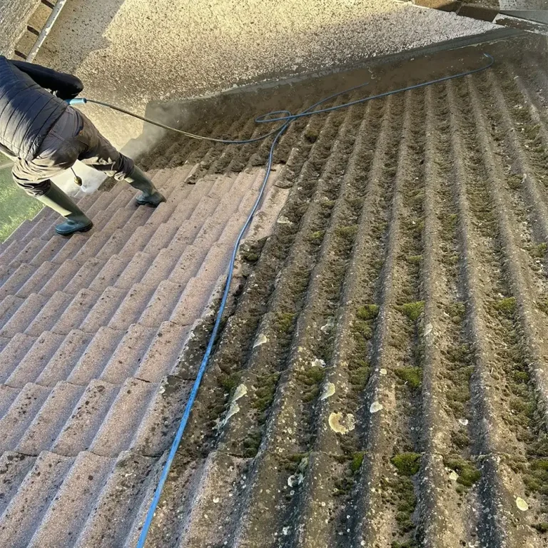 entreprise démoussage nettoyage toiture vichy allier