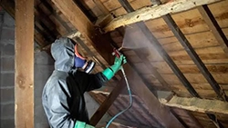 entreprise traitement charpente nuisibles vichy allier